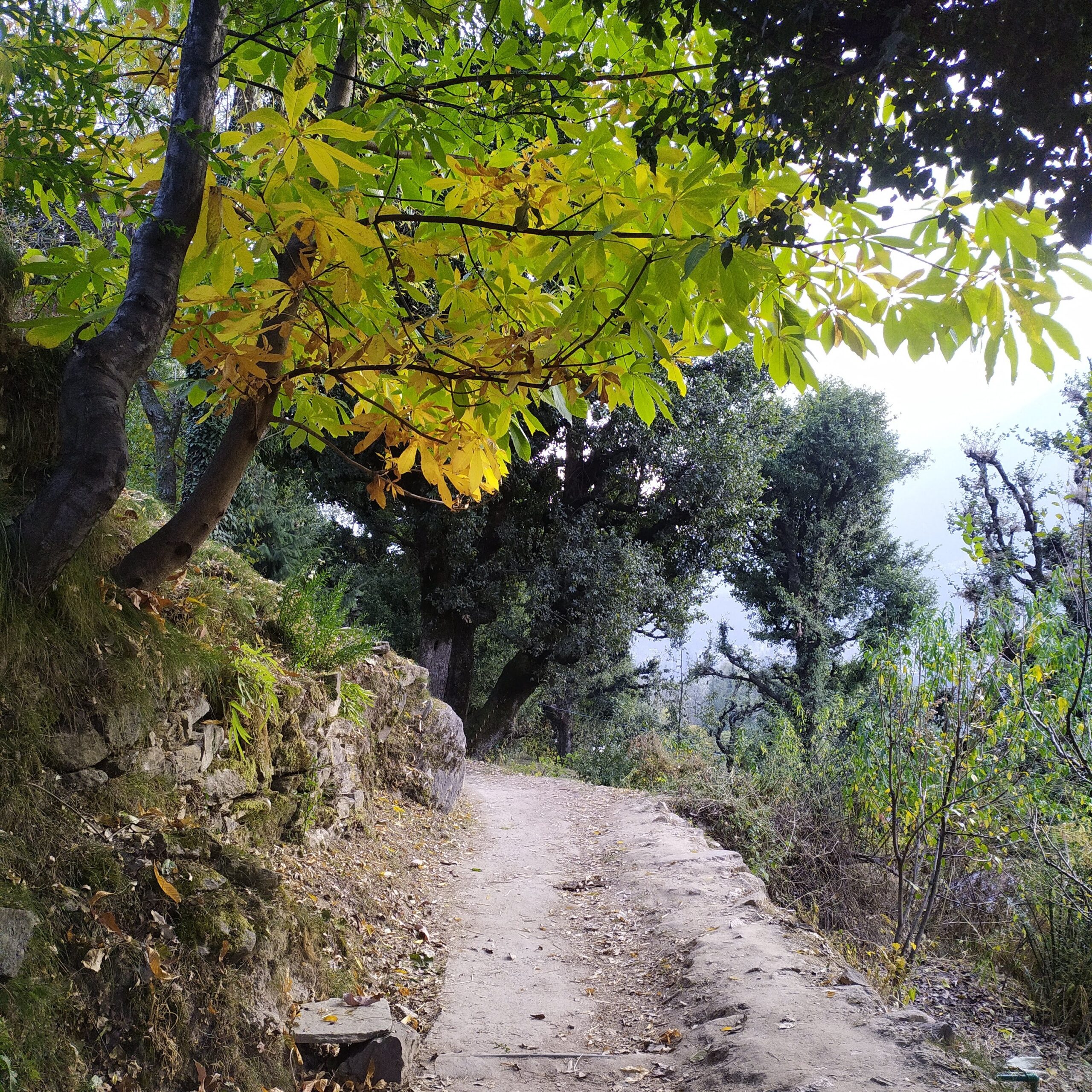 Jogini Trek