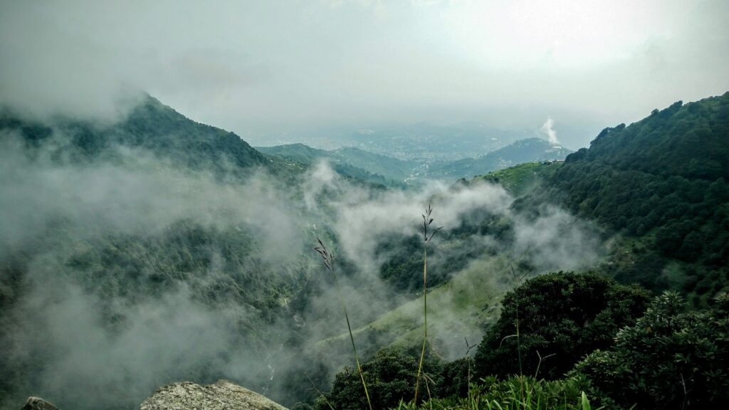 Triund trek