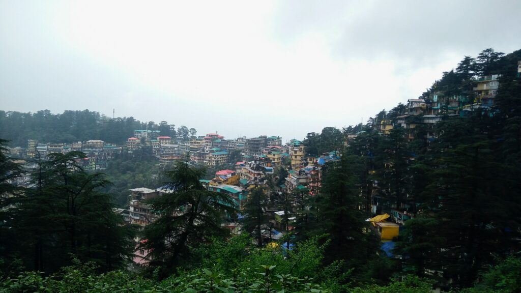 Triund trek