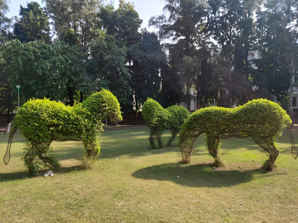 Topiary park in Chandigarh