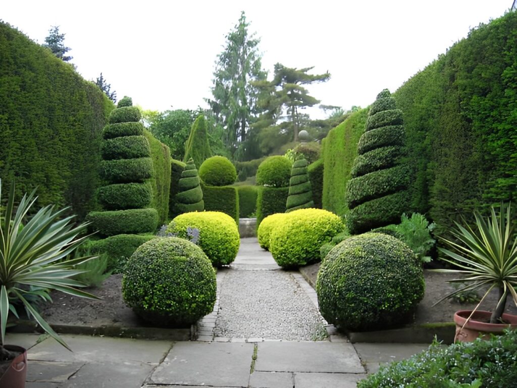 Topiary park in Chandigarh