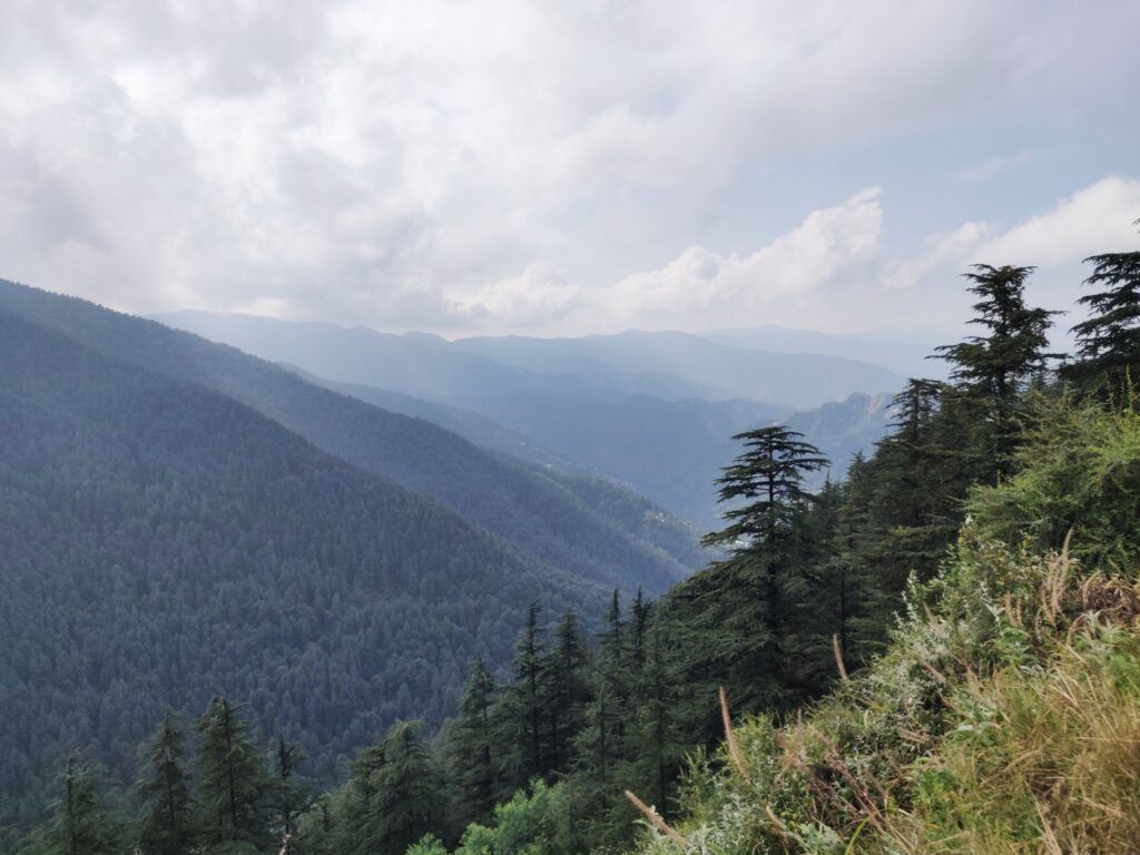 Green valley, Shimla