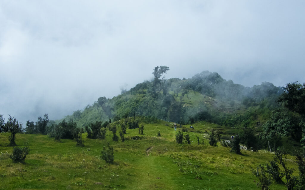 Vast_green_meadows_and_hills_in_Singalila_National_Park