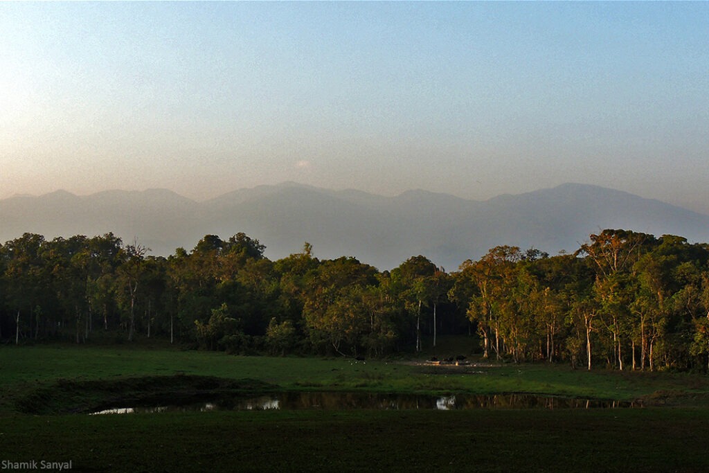 Chapramari Wildlife Sanctuary
