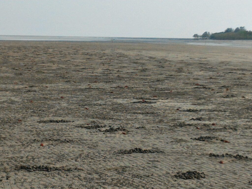 Henry’s Island