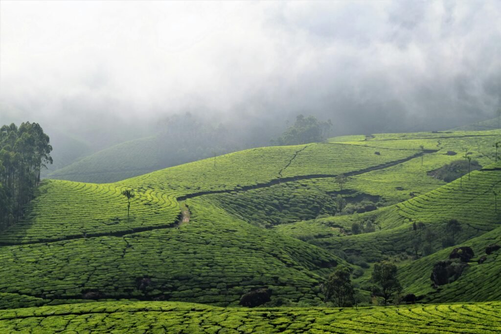 Kerala