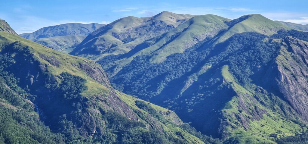 Anamalai Tiger Reserve
