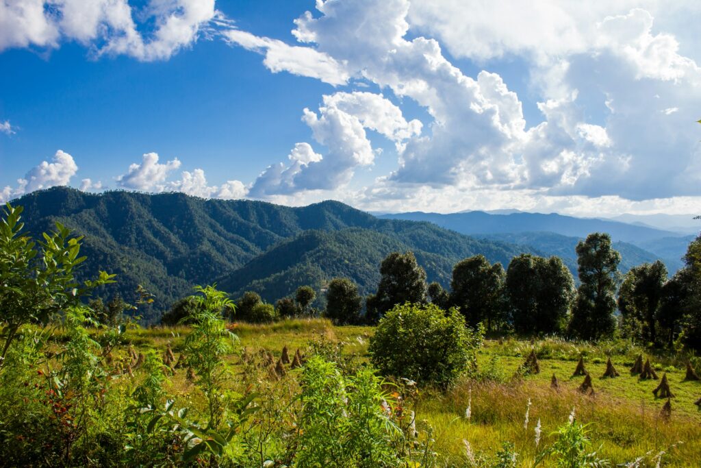 Binsar