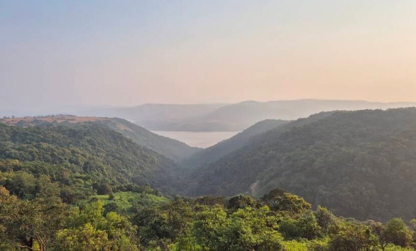 Chandoli National Park