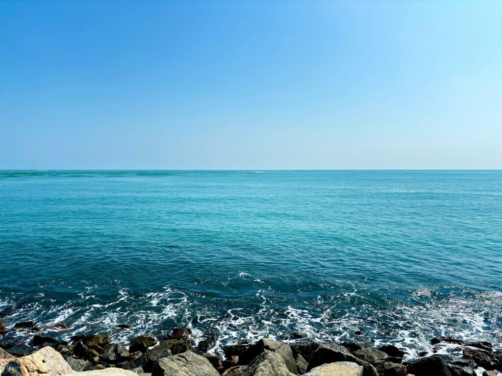 Gulf of Mannar Marine National Park