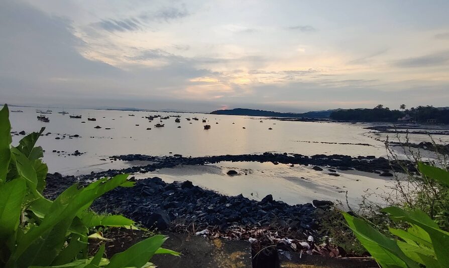 Mandwa