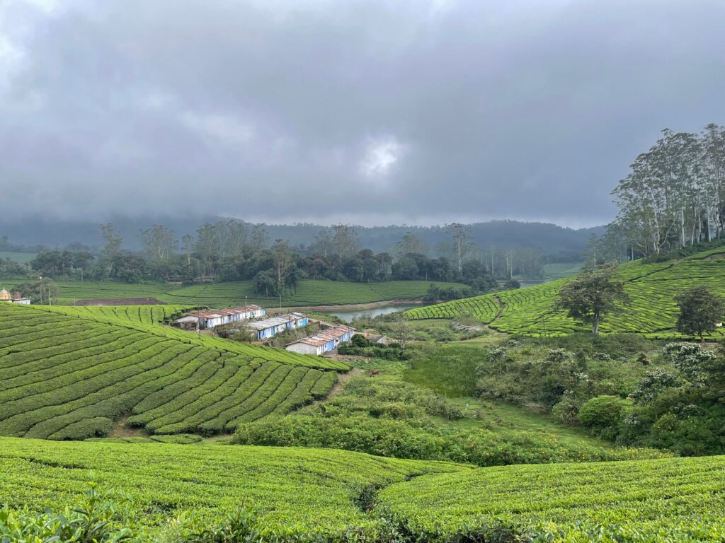 Meghamalai