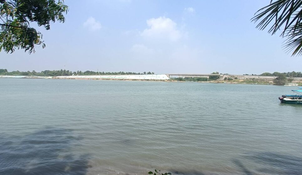 Mudaliarkuppam backwaters