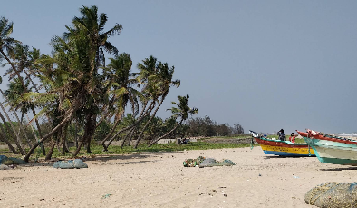 Paradise beach