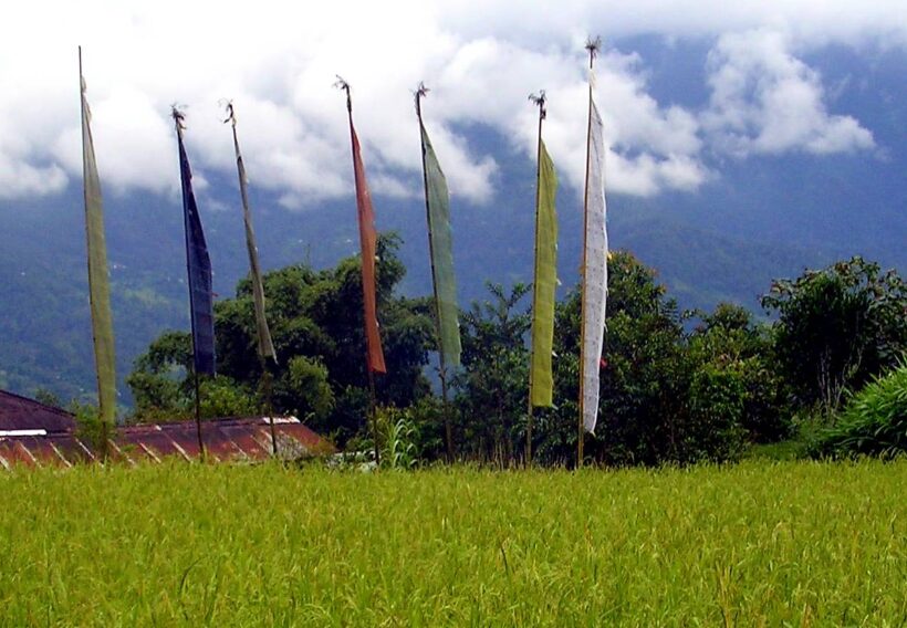 Pedong west bengal