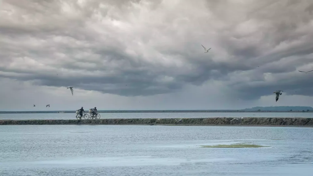 Point Calimere Wildlife Sanctuary
