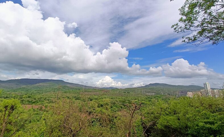 Sanjay Gandhi National Park