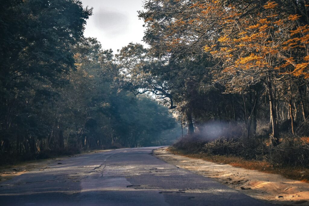 Sathyamangalam Tiger Reserve