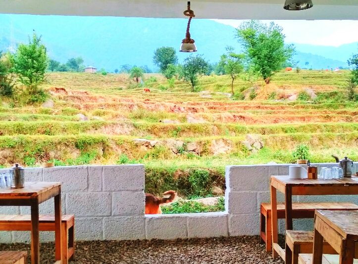 avva cafe