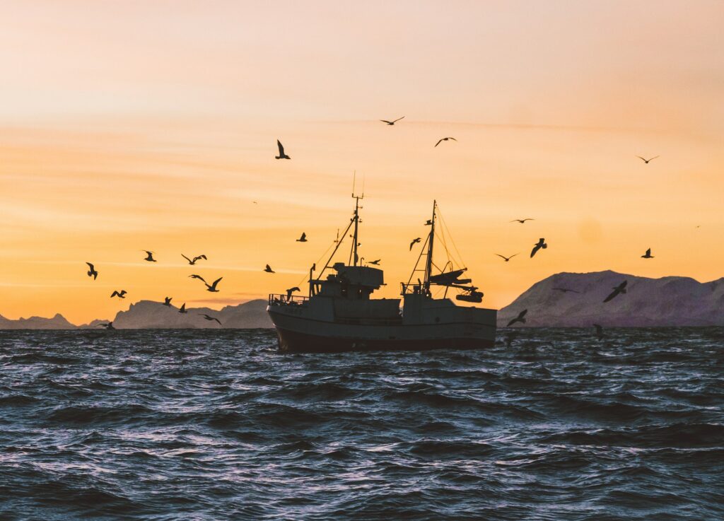 Birdwatching by Boat