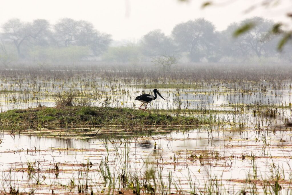 Keoladeo National Park