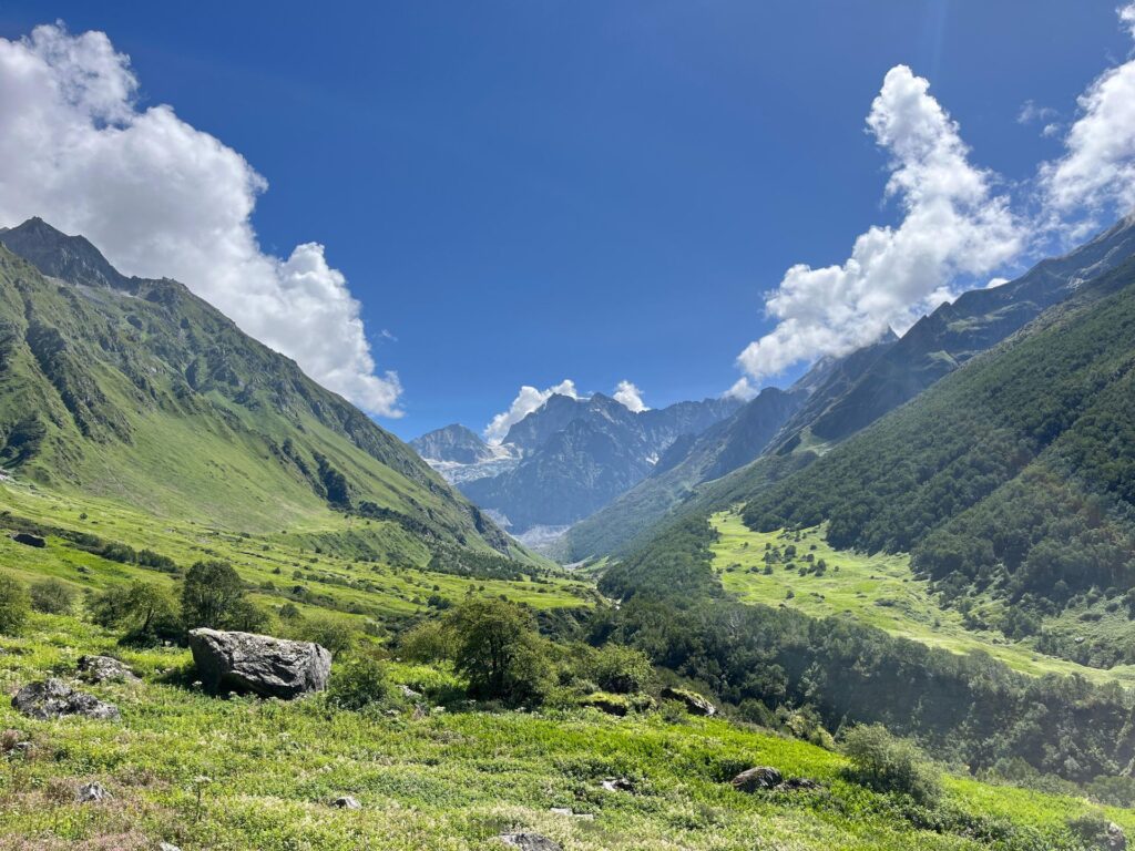 Valley of flowers