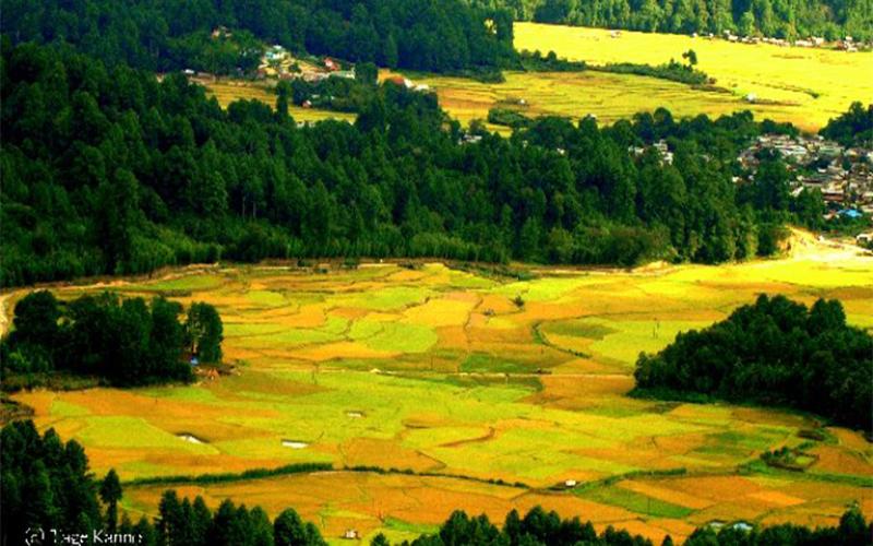 ziro valley