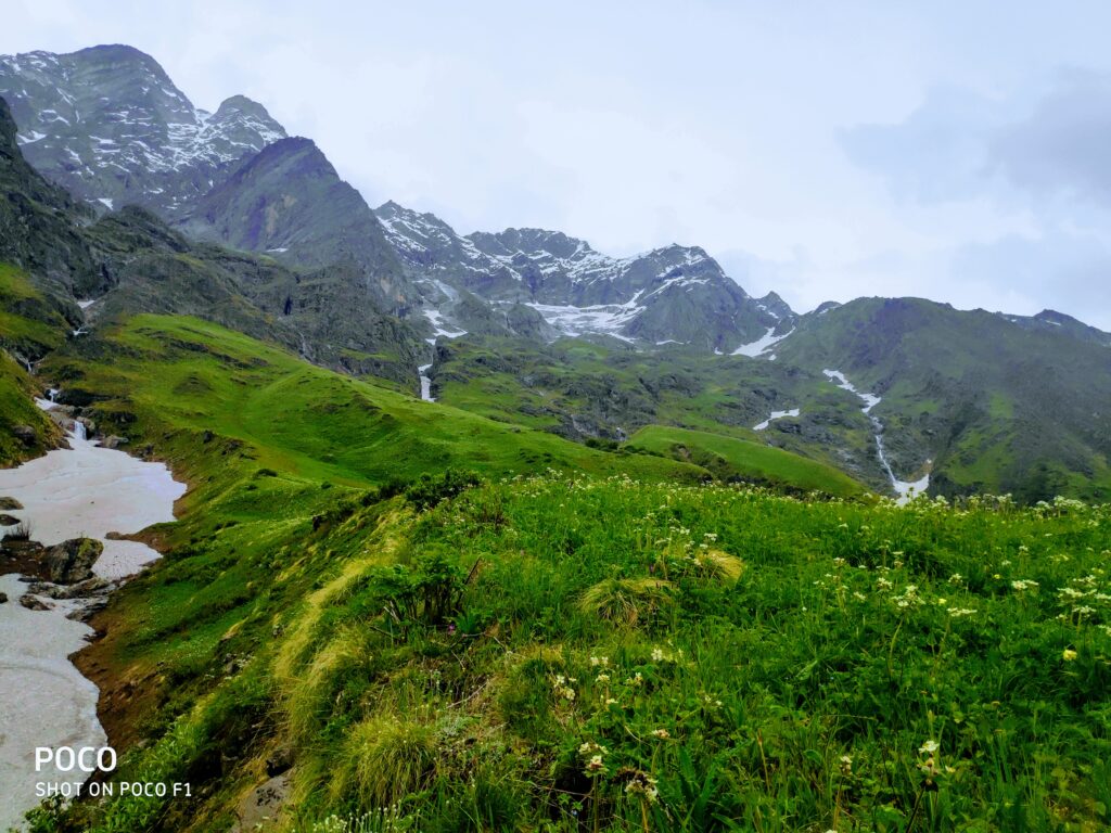 valley of flowers