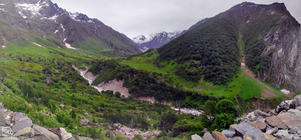 valley of flowers