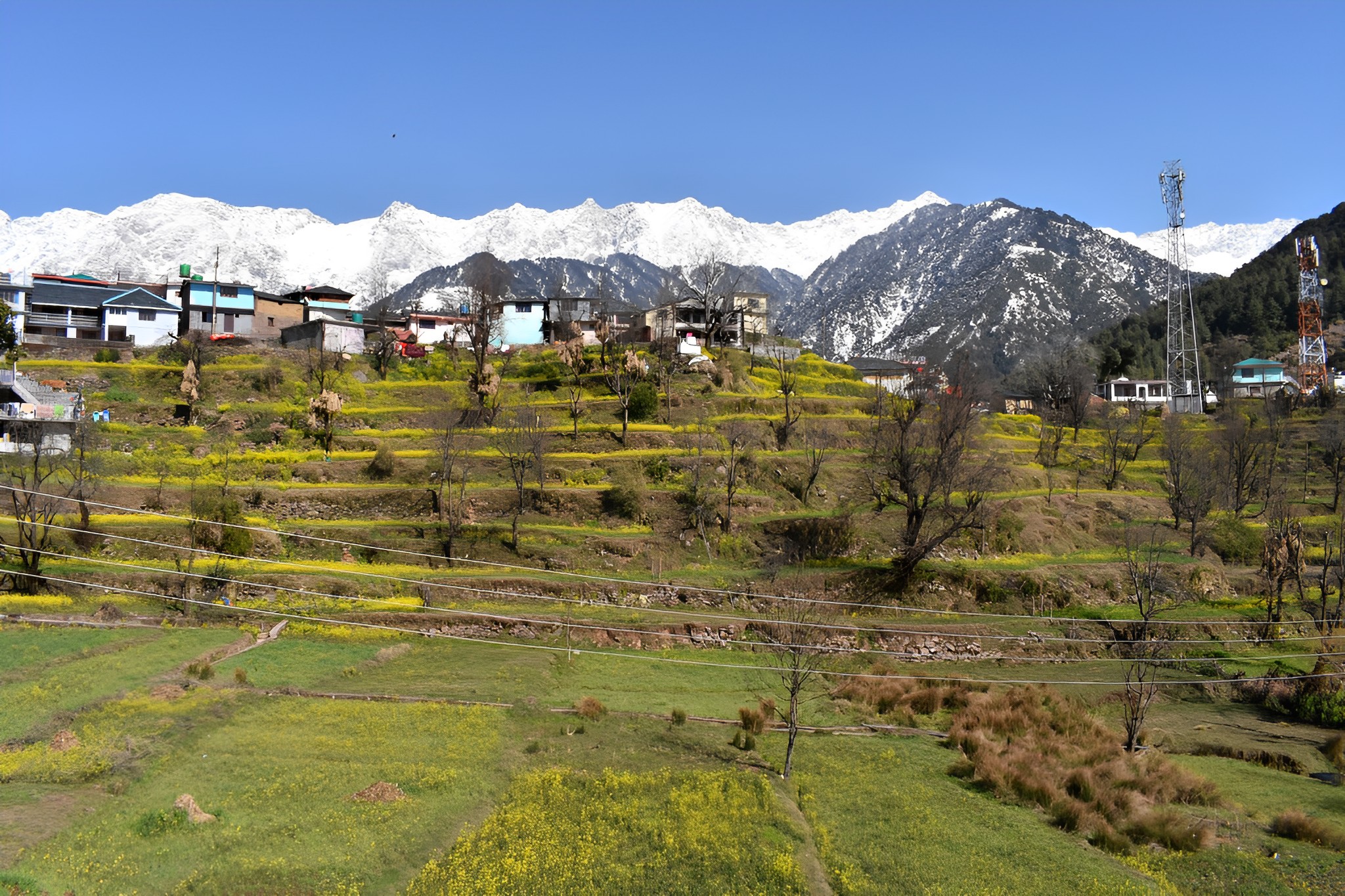 Naddi, An Offbeat Place in Himachal Pradesh naddi-picwish