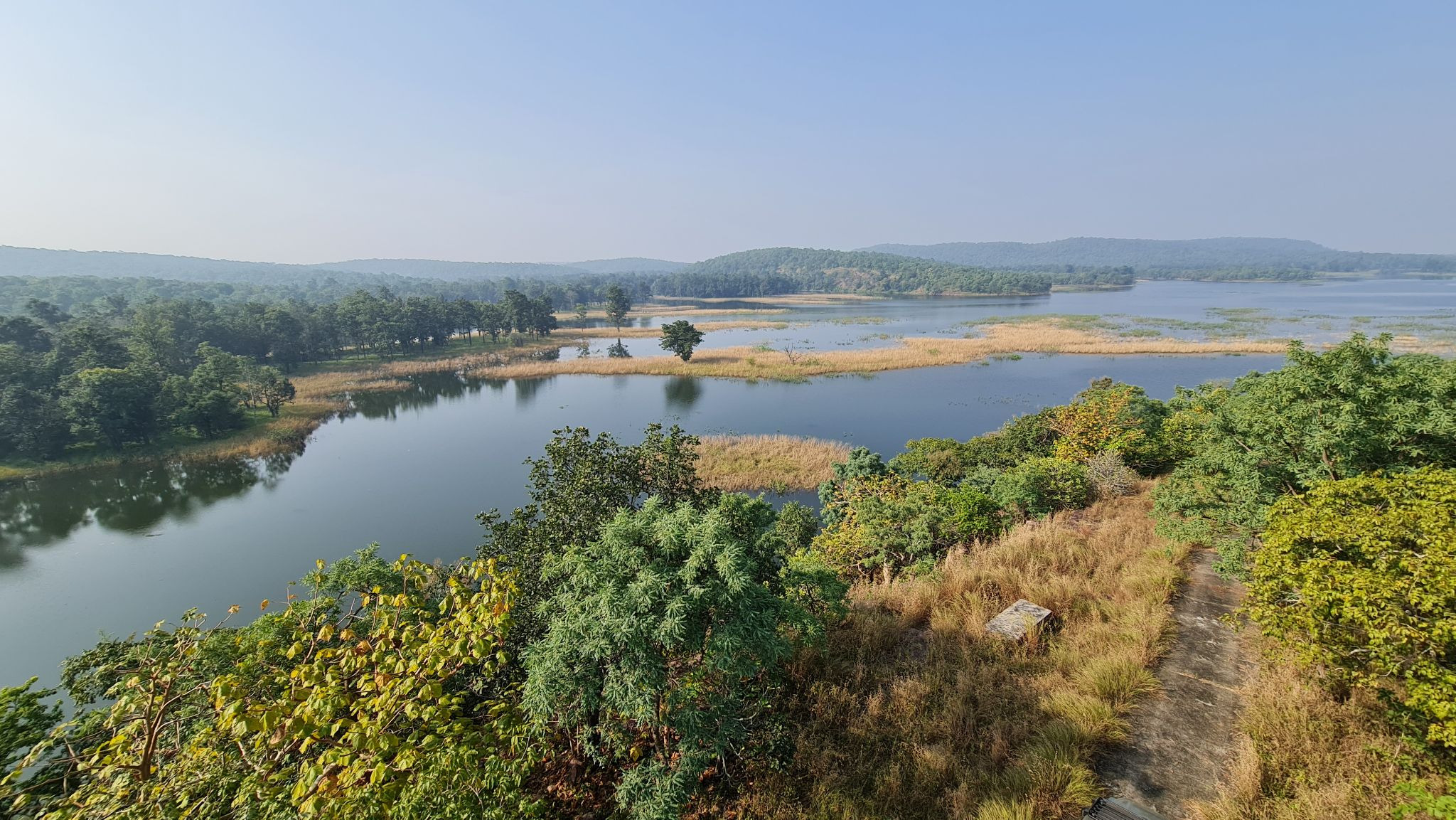 Ratapani Wildlife Sanctuary, Timing, Flora, Fauna - MP Ratapani Wildlife Sanctuary