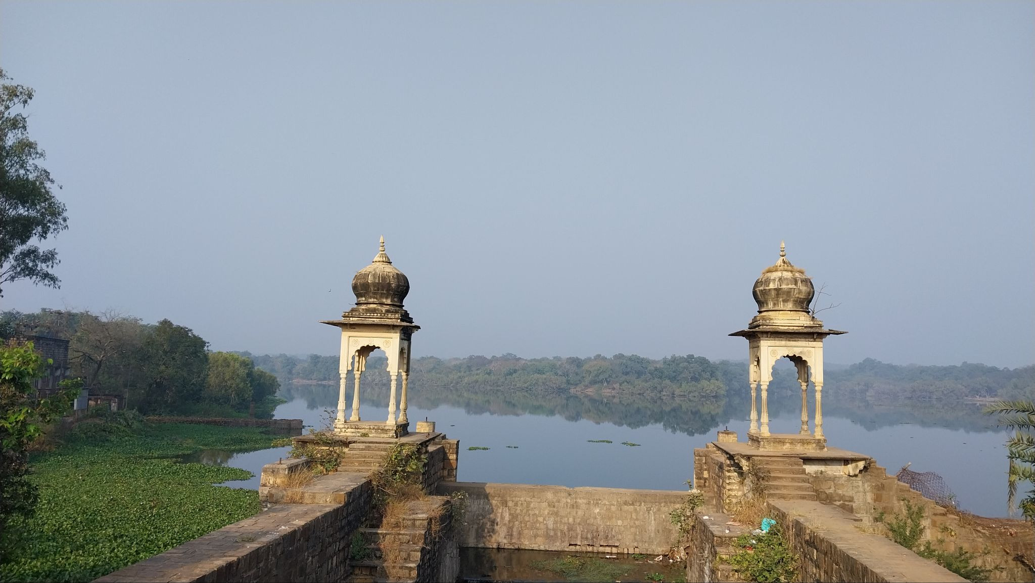Madhav National Park: Wildlife Sanctuary ,Shivpuri MP image-71