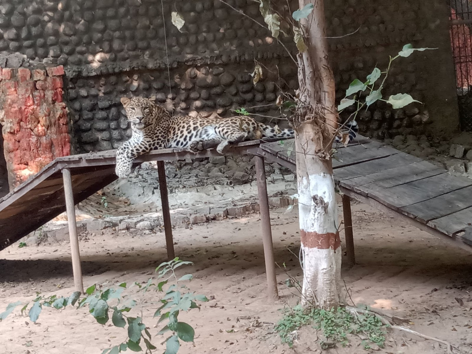 Gwalior Zoo - Gandhi Prani Udhyan, Timing - Gwalior image-2