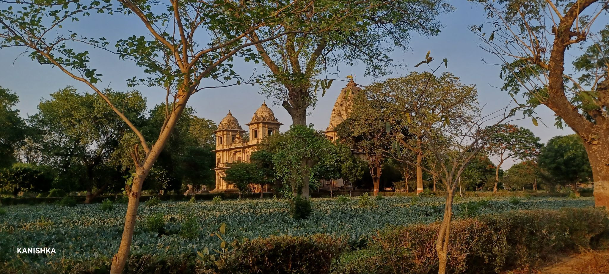 The Chhatris of Scindia dynasty : Gwalior, MP image-4