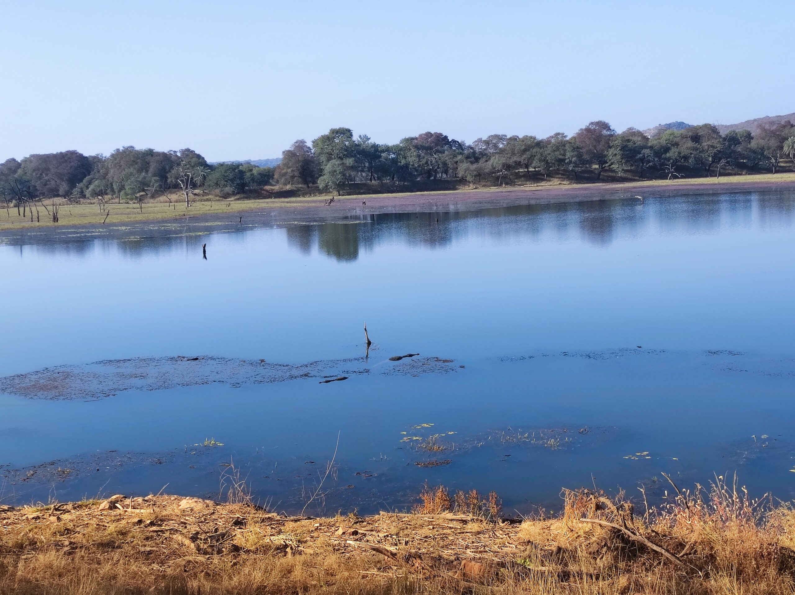 Rajbagh Talao, Best Time- Ranthambore National Park rajbagh-talao
