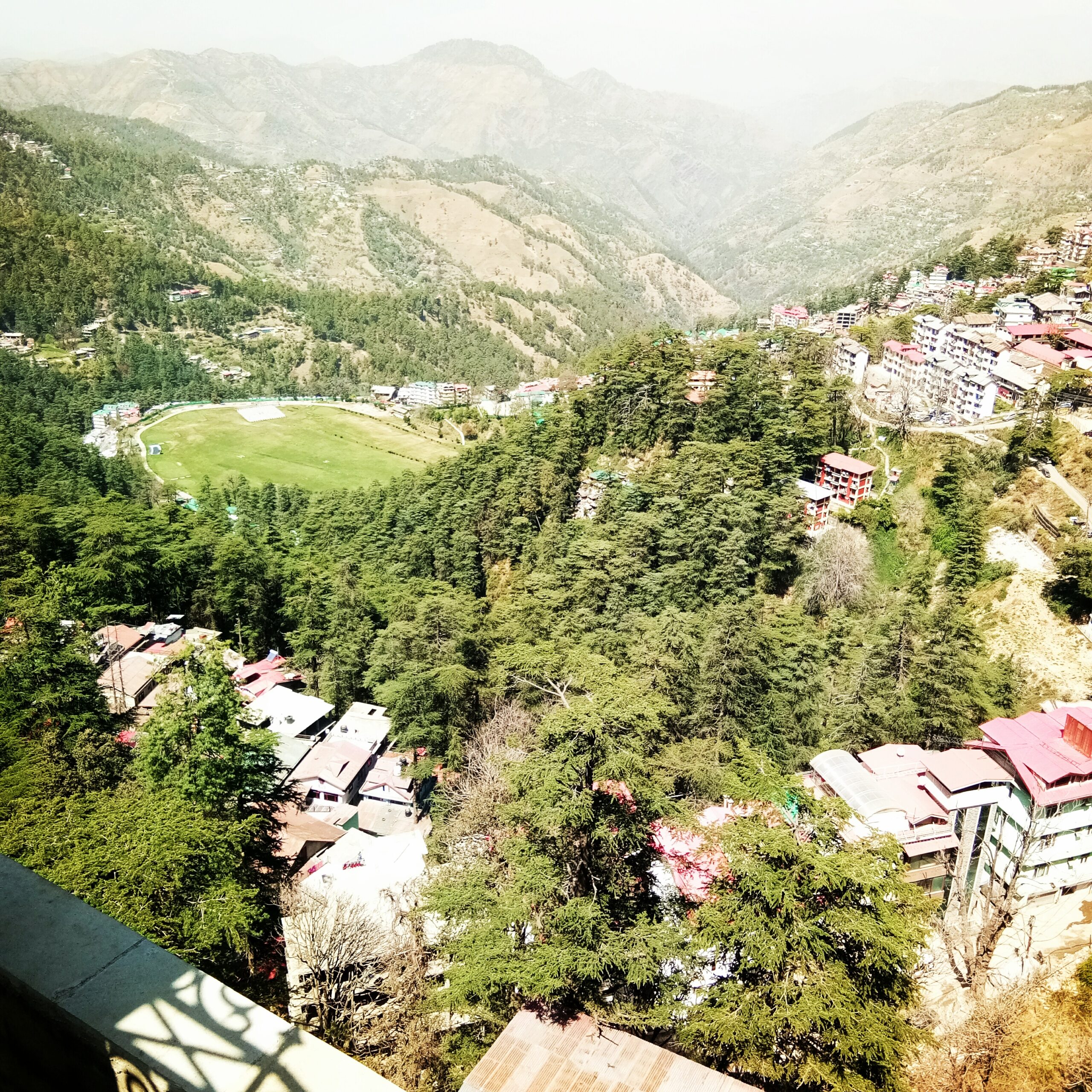 Annadale: History, How To Reach, Best to Visit - Shimla Annadale