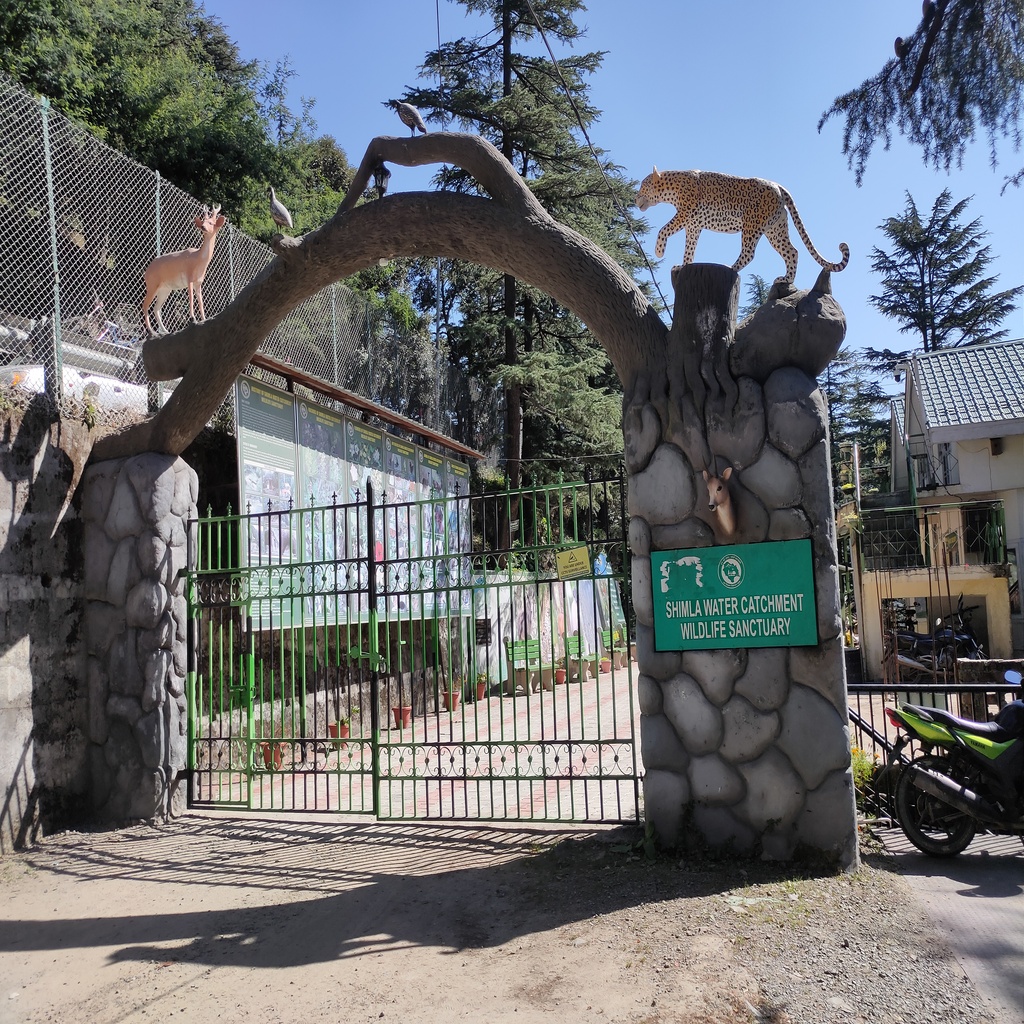 shimla wildlife catchment sanctuary