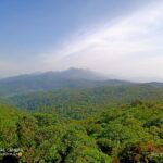 Brahmagiri Wildlife Sanctuary, Coorg Brahmagiri Wildlife Sanctuary