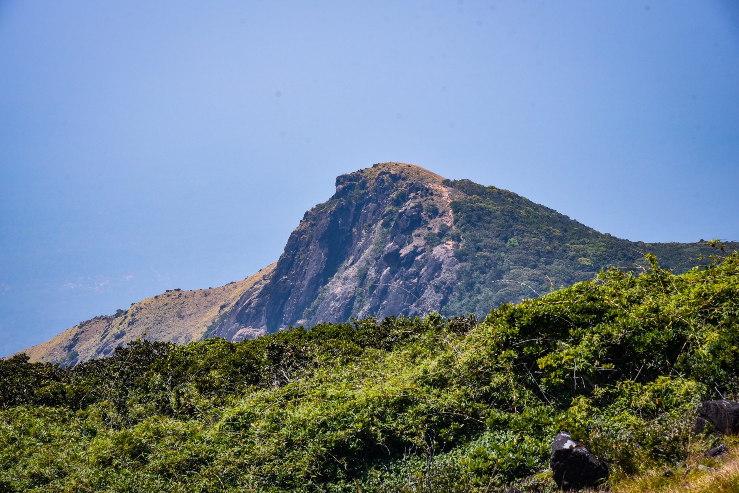 Pushpagiri Peak: Natural Beauty in Coorg pushpagiri