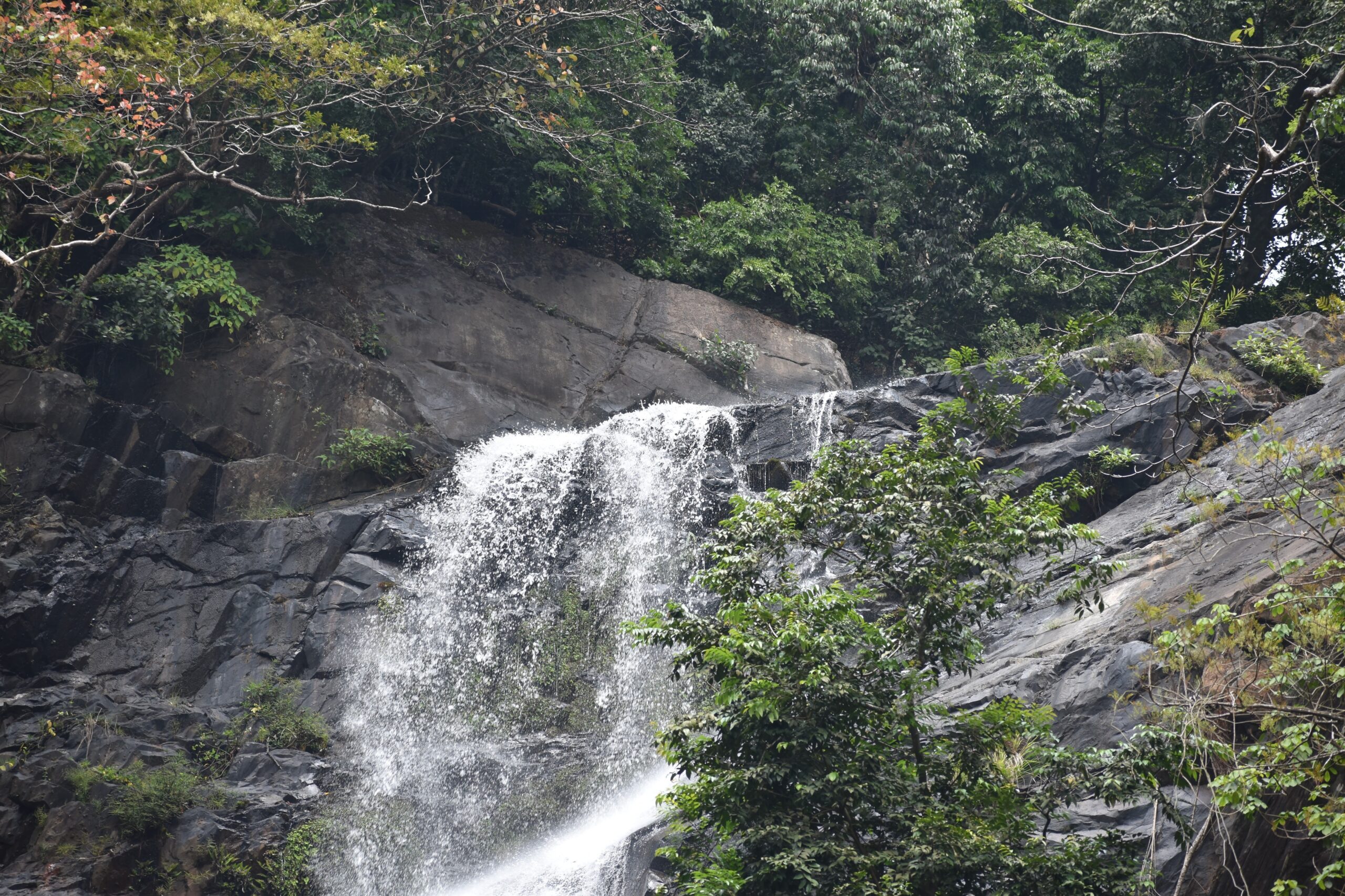Arisina Gundi Falls, Location, Timing - Murudeshwar arisana