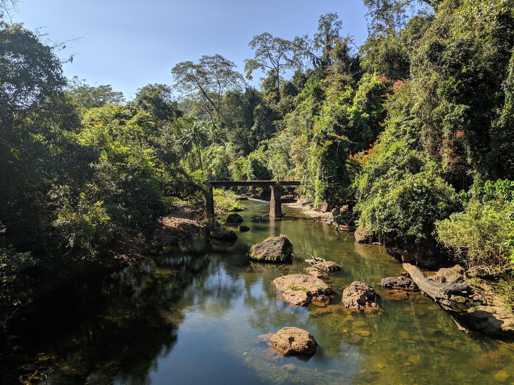 Kudlu Teertha Falls, Treks, Timing—Agumbe Kudlu Teertha Falls