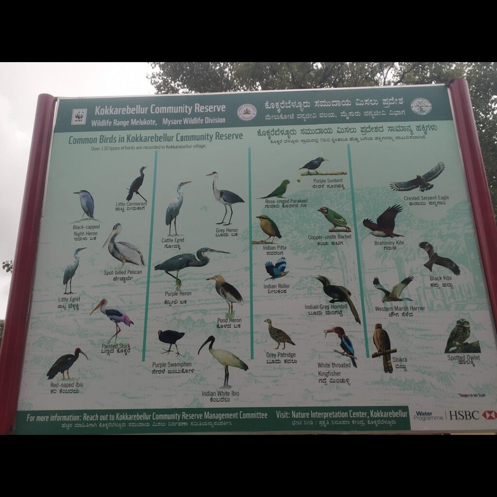 Kokkare Bellur Bird Sanctuary