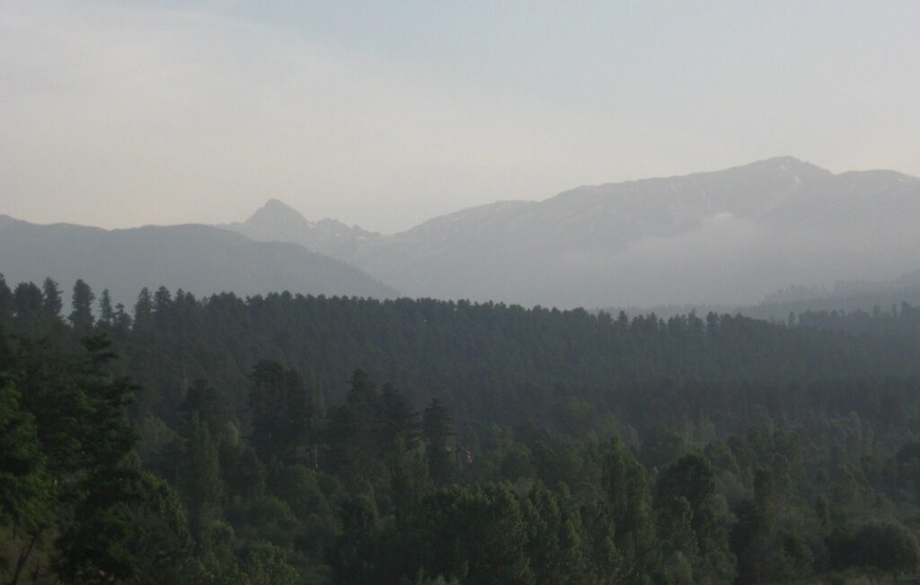 Hirpora Wildlife Sanctuary, Kashmir