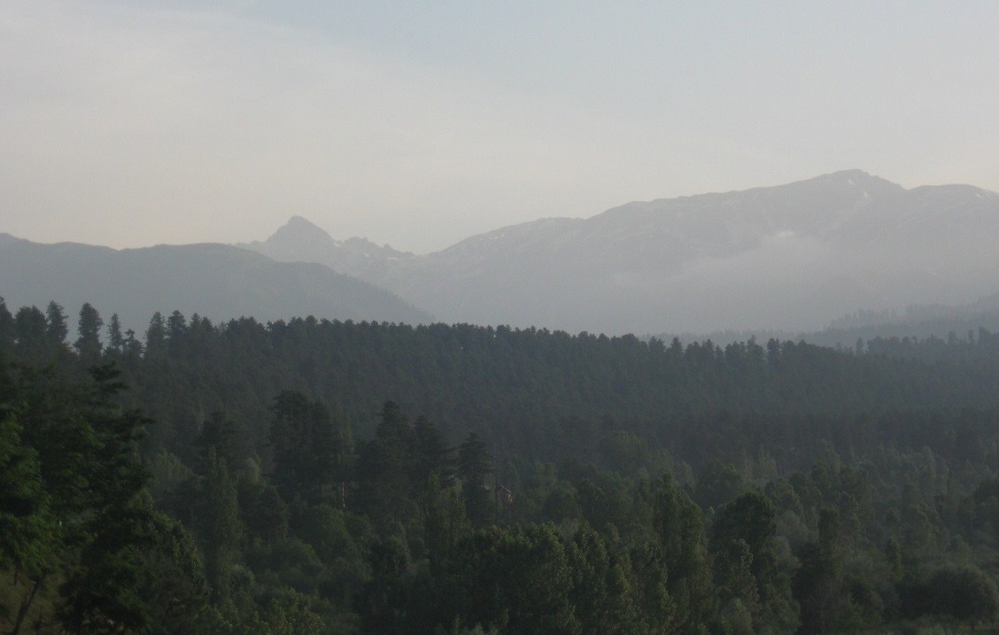 Hirpora Wildlife Sanctuary: A Biodiversity Jewel in Kashmir Hirpora Wildlife Sanctuary, Kashmir