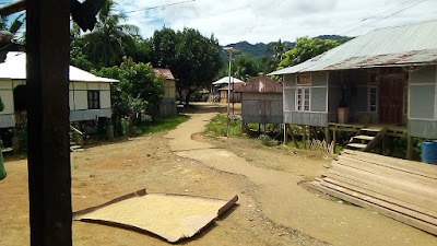 Mat Valley, Zawlpui village