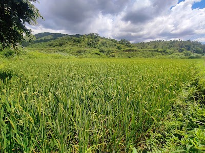 Yairipok, Thoubal district - Manipur