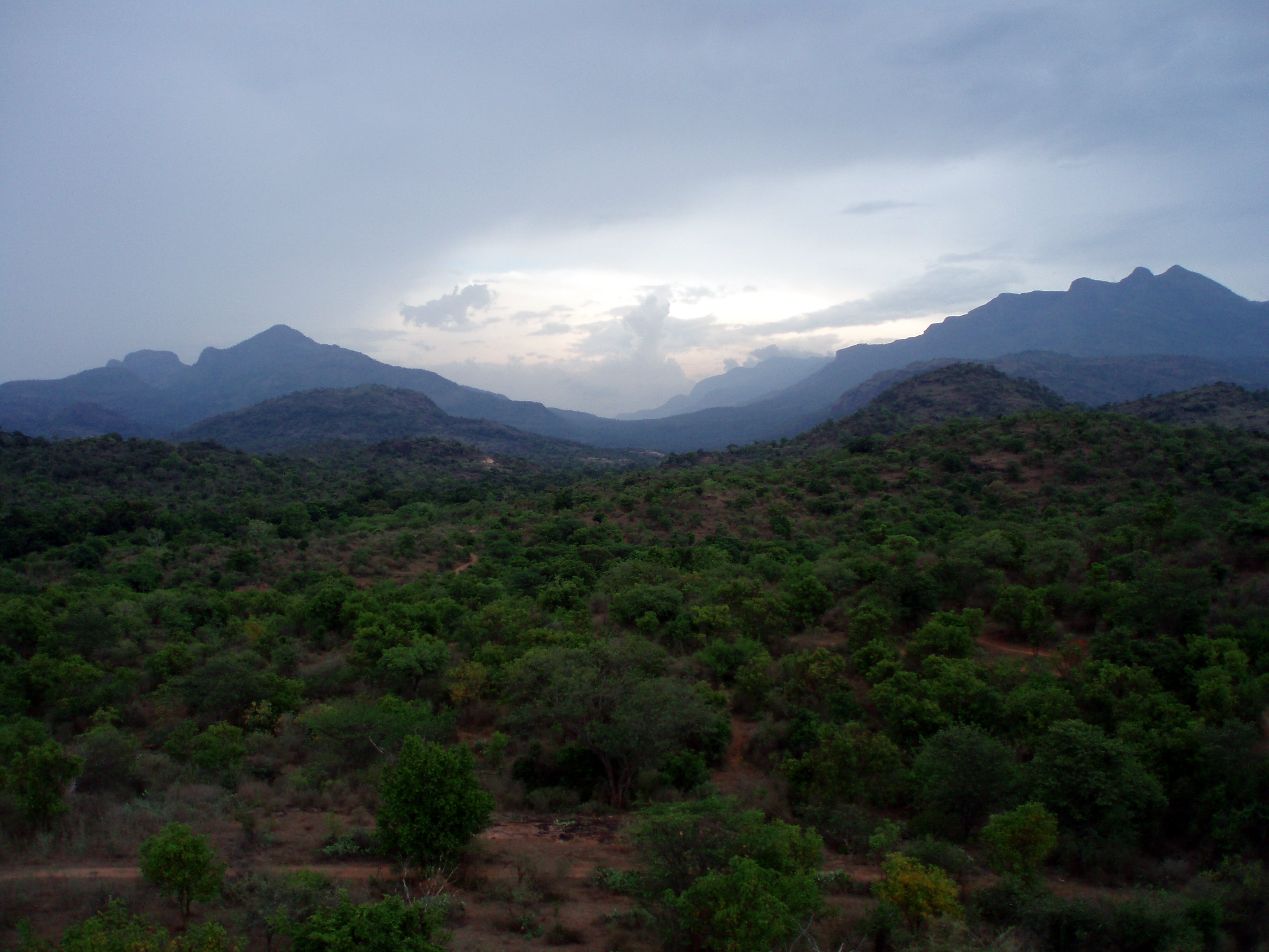 Chinnar Wildlife Sanctuary, Flora, Fauna - Idukki Chinnar Wildlife Sanctuary