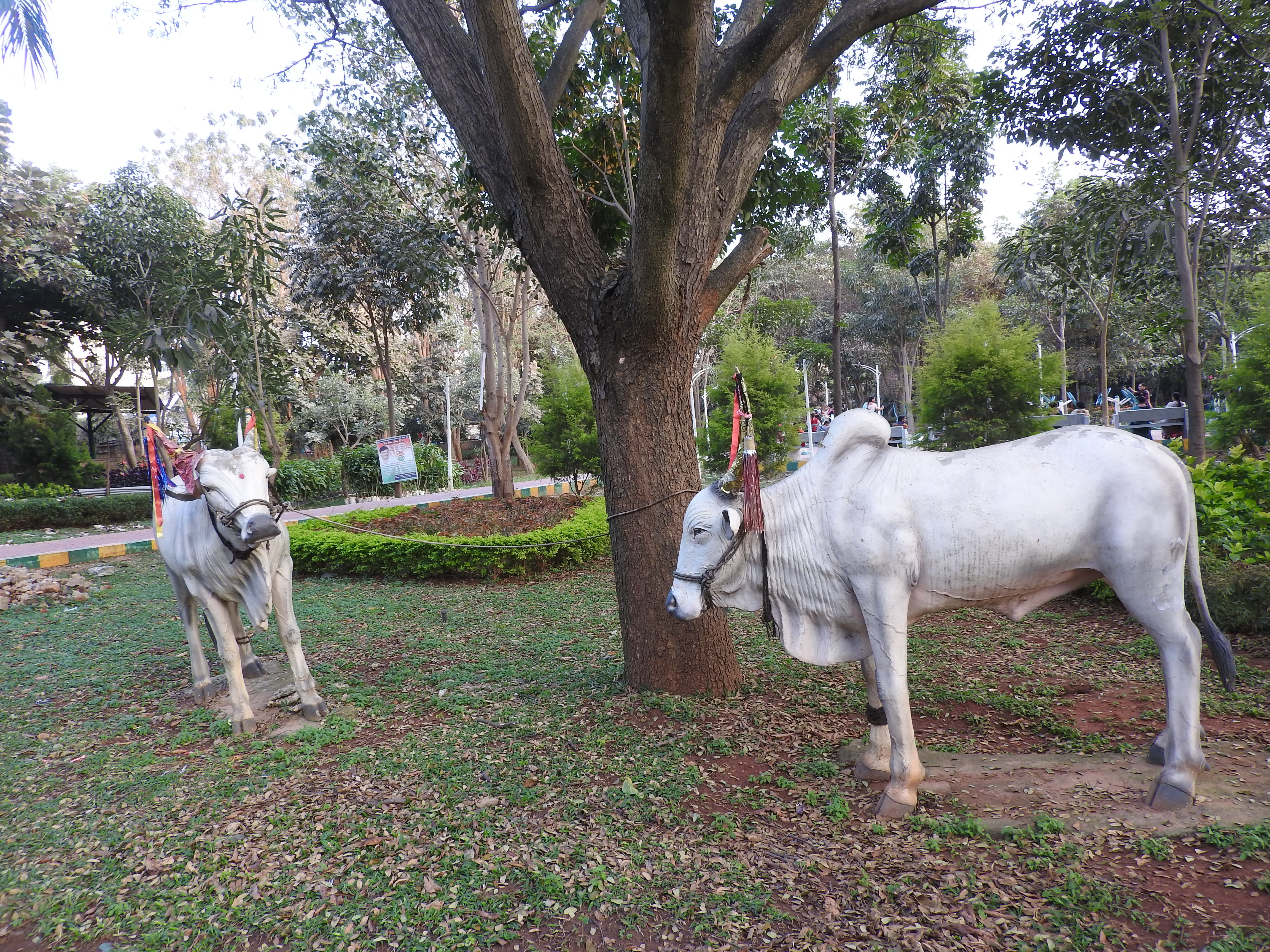Jayaprakash Narayan Biodiversity Park (JP Park), Mathikere Jayaprakash Narayan Biodiversity Park (JP Park), Mathikere