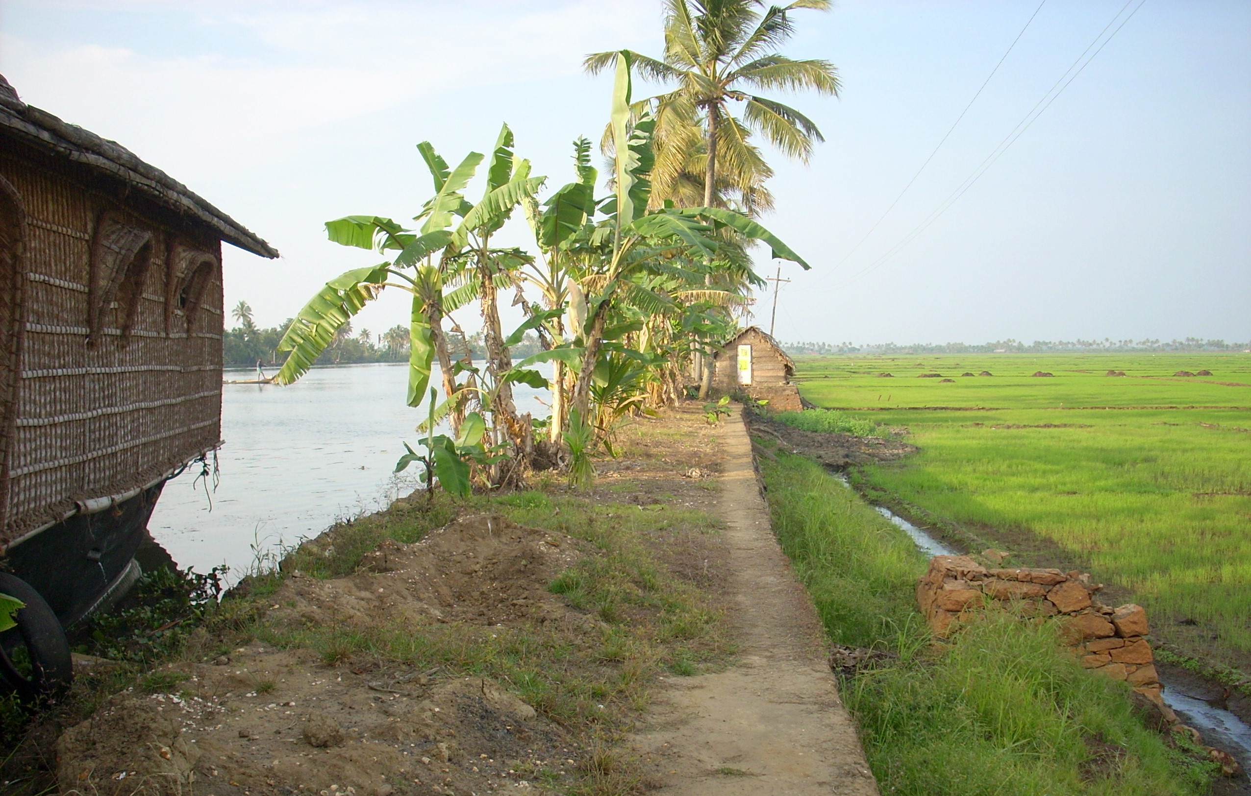 Kuttanad: The Rice Bowl of Kerala Kuttanad