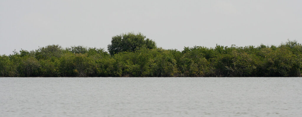 Krishna Wildlife Sanctuary